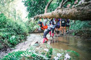 BIB: 
                            <button type="button" onclick="openModal(25475939)" class="btn btn-primary btn-sm float-right btn-popup" data-toggle="modal" data-target=".modal-high-quality">
                        <i class="fas fa-shopping-cart"></i> Add to Cart
                    </button>
                                            <button type="button" onclick="isThisMe(25475939, true)" class="btn btn-success btn-sm float-right btn-popup btn-isme hidden" data-toggle="tooltip" data-placement="bottom" title="นี่คือรูปของคุณใช่ไหม คลิกที่นี่เพื่อเอาเข้าอัลบั้ม">
                        <i class="fas fa-plus"></i> Add to album
                    </button>
                    <button type="button" onclick="isThisMe(25475939, false)" class="btn btn-warning btn-sm float-right btn-popup btn-isnotme hidden">
                        <i class="fas fa-ban"></i> Remove from album
                    </button>